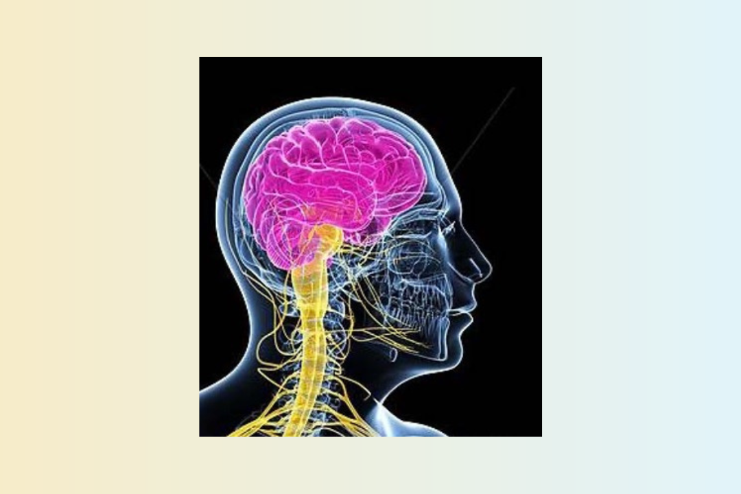 Approche thérapeutique globale en réadaptation neurologique